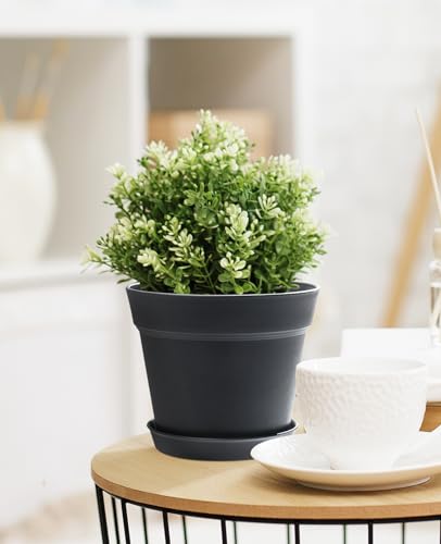 6 7.5 Inch Plastic Planters with Drainage Holes and Trays (10 Count)