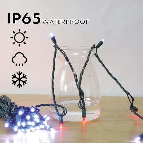 Red White Valentine's String Lights (1200 Count)