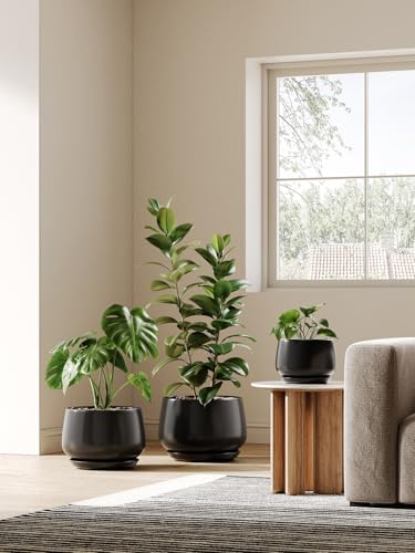 Ceramic Planter