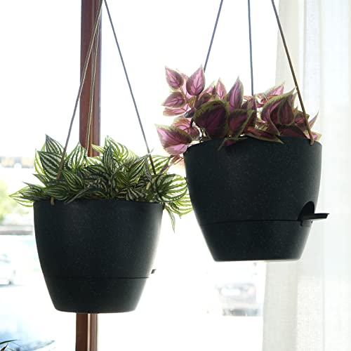 10 Inch Self Watering Hanging Pots (2 Count)
