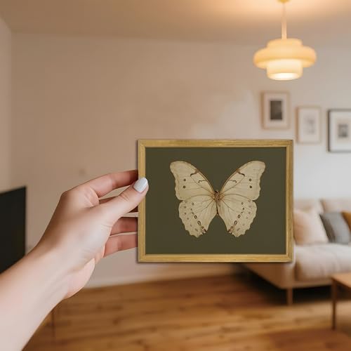 Wood Framed Butterfly Wall Art