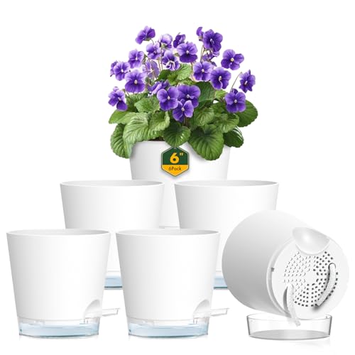 6 inch Self Watering Pots for Indoor Outdoor Plants (6 Count)