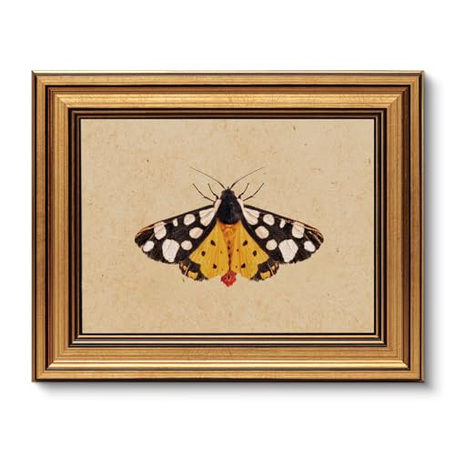 Vintage Gold Framed Wall Art for Living Room