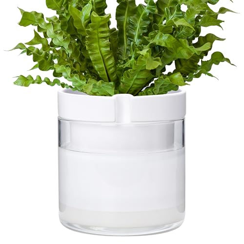 8 Inch Self Watering Planter