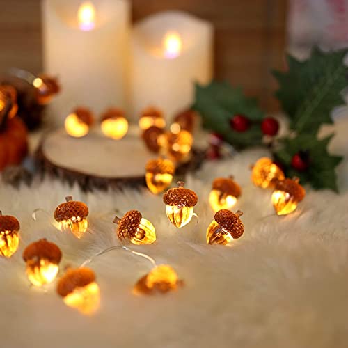 Thanksgiving Acorn Lights Fall Garland Decorative Fairy String Light Cute Novelty Lights 30 LEDs 10 ft USB or Battery Operated for Bedroom Wedding Xmas Harvest Decor (10 Foot)