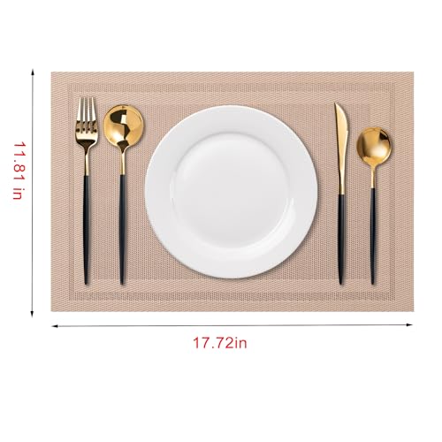 Placemats Set of 4 Washable Indoor (4 Count)