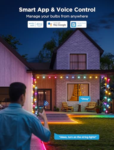 Smart Outdoor String Lights 2 (48 Foot)