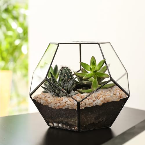 2.5 lbs Coarse Sand for Plants