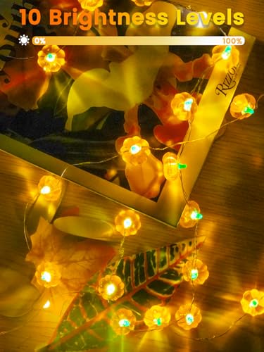 2 Pack 30LED Pumpkin Fall Decorations String Lights Battery Operated Remote