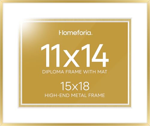 15x18 Gold Diploma Frame (2 Count)