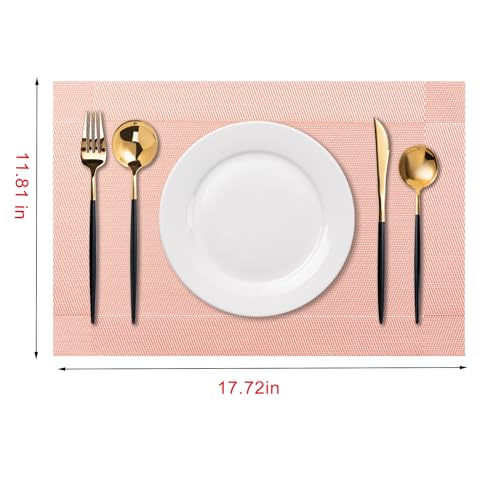 Placemats Set of 6 Washable Indoor (6 Count)