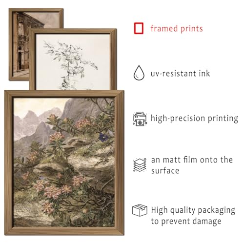 16 PCS Framed Vintage Wall Art Decor (16 Count)