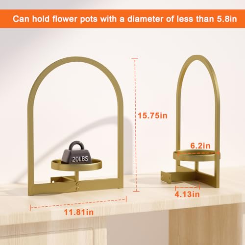 Wall Plant Holder (3 Count)