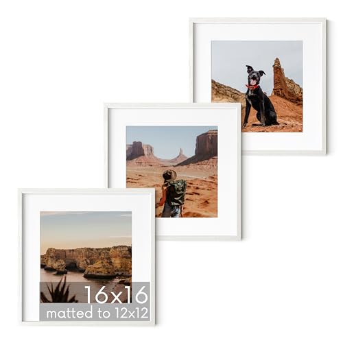 Solid Oak Wood 16â€x16â€ Picture Frames Matted to 12â€x12â€ Set of 3 (3 Count)