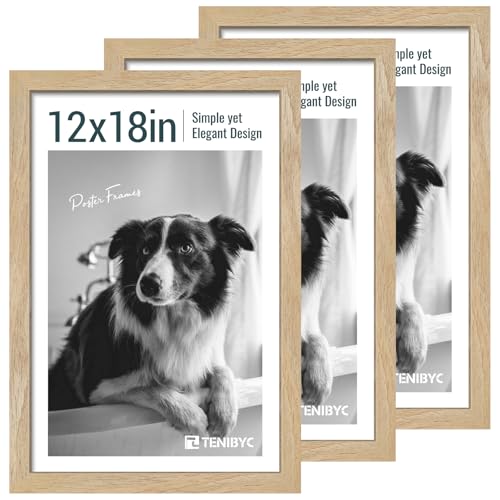 12x18 Poster Frame 3 Pack (3 Count)