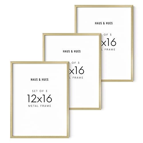 12x16 Gold Picture Frames (3 Count)