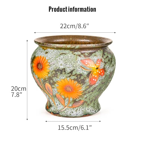 9 Inch Hand Painted Ceramic Succulent Plant Pots