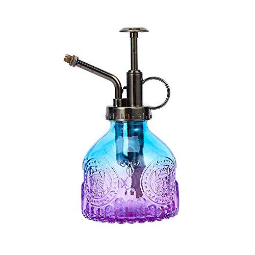 Glass Plant Mister Spray Bottle