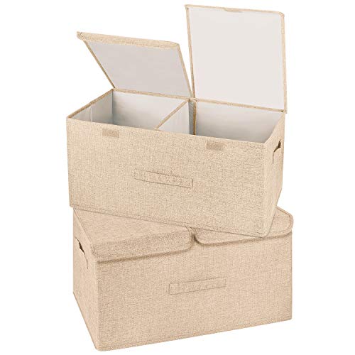 2 Pack Large Storage Boxes with Lids and Handles (2 Count)