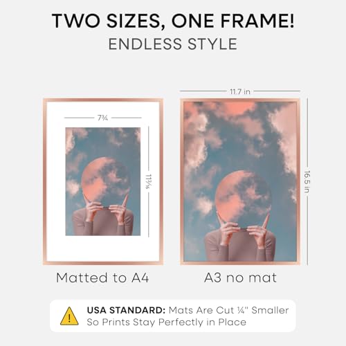 A3 Rose Picture Frame