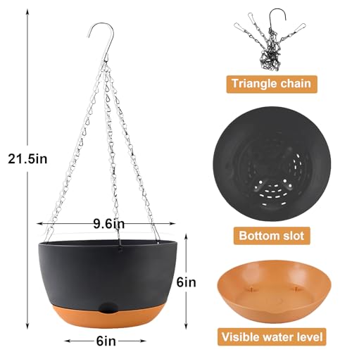 10 Inch Hanging Baskets (3 Count)