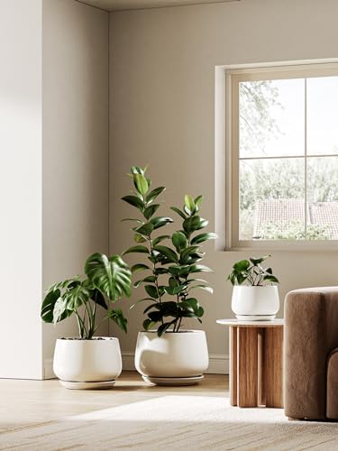 Ceramic Plant Pots (2 Count)