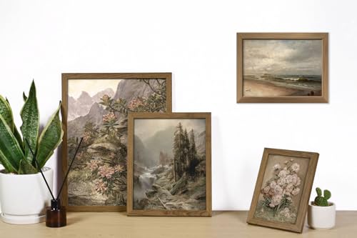 16 PCS Framed Vintage Wall Art Decor (16 Count)