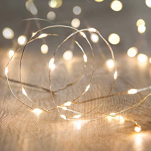 Battery Operated Fairy String Lights (26 Foot)