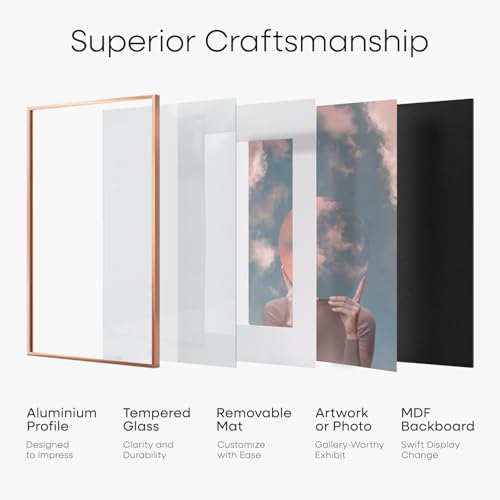 14x20 Rose Diploma Frame (3 Count)