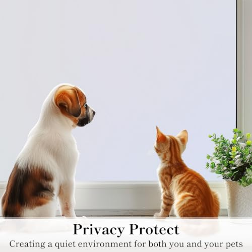 Window Privacy Film (19.347083333 Sq Ft)
