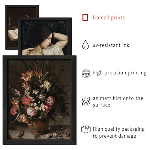 16 PCS Framed Dark Academia Room Decor (16 Count)