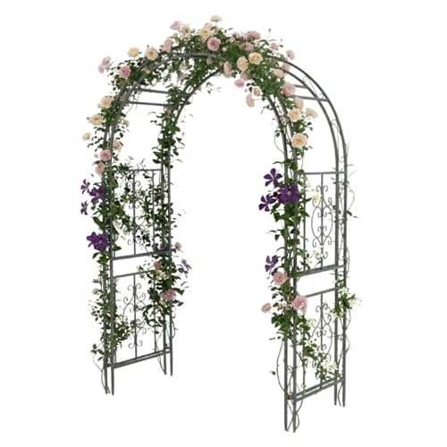 Arch Metal Outdoor Garden Arbor