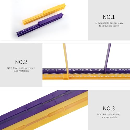 Growth Chart for Wall
