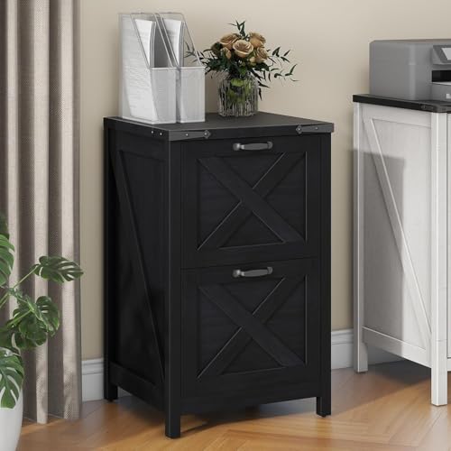 Vertical File Cabinet with 2 Drawers