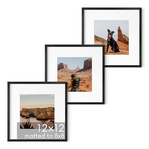 12x12 Black Metal Picture Frames Matted to 8x8