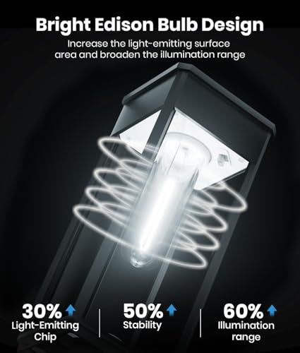 Solar Pathway Lights Outdoor (12 Count)