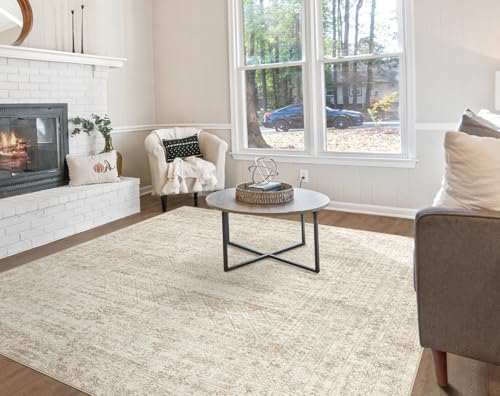 Square Area Rugs (24 Count)