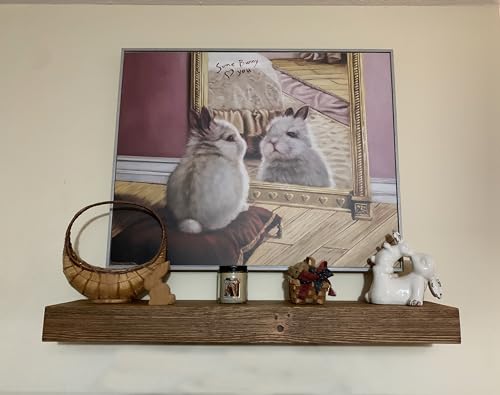 Joel’s Antiques 18 Inch Floating Shelves