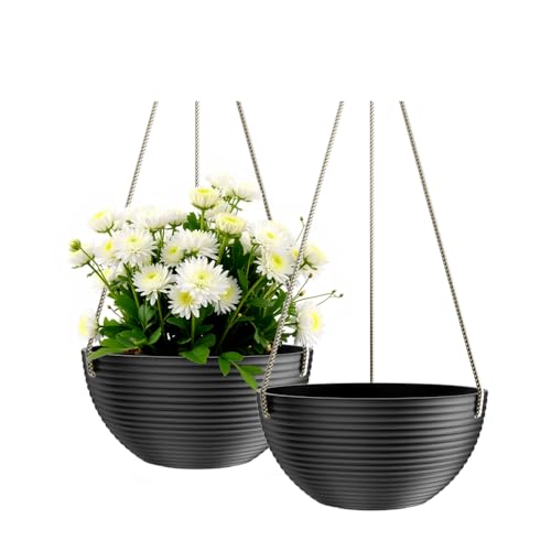 2 Pack Hanging Planter (2 Count)