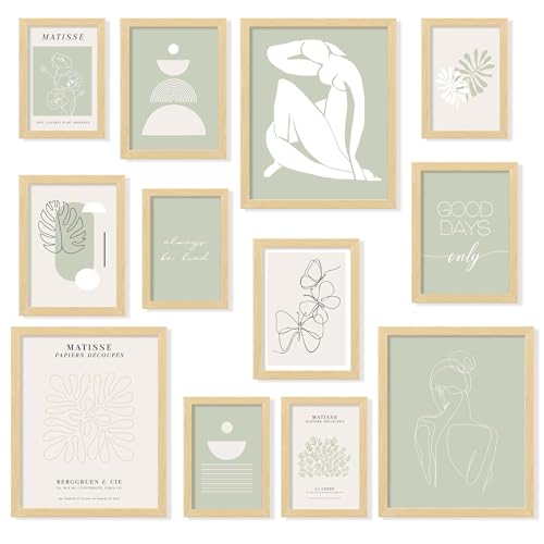 Sage Green Wall Art (12 Count)
