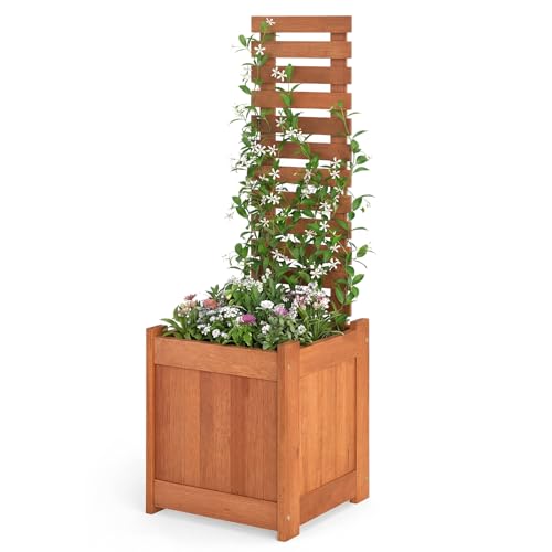 Raised Garden Bed with Trellis & Open