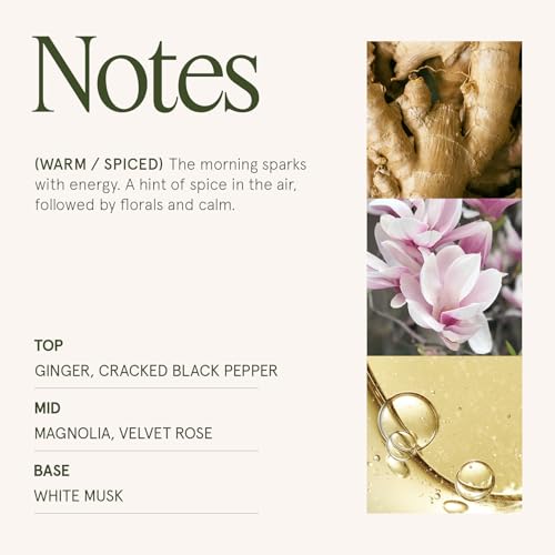 Ginger & White Musk Scented Candle for Home (19 Ounce)