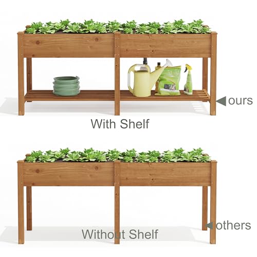 Raised Garden Bed with Shelf
