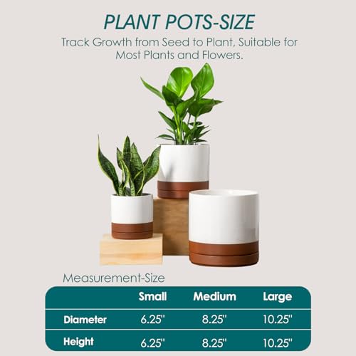 Ceramic Pots for Plants (3 Count)