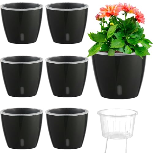 Self Watering Pots for Indoor Plants