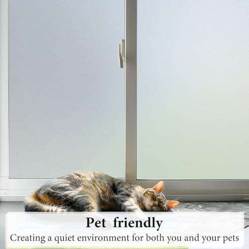 Window Privacy Film (29.0083333 Sq Ft)