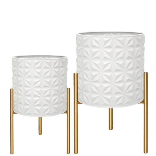 Modern Planter Pots