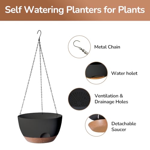 Hanging Planter for Indoor Plants (2 Count)