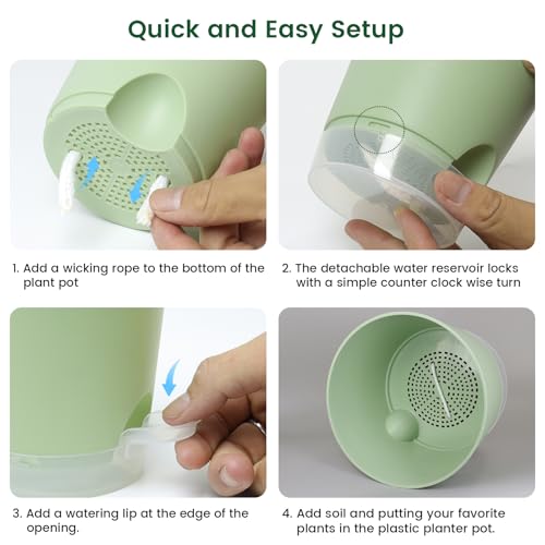 6 inch Self Watering Pots for Indoor Outdoor Plants (3 Count)