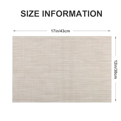 Vinyl Placemats Set of 6 (4 Count)